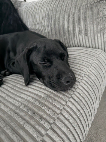 Marley