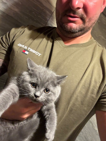 British shorthair 1 boy 2 girls