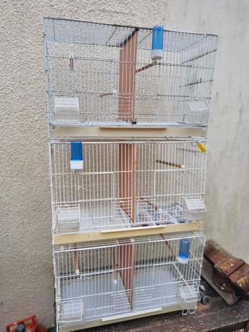 Breeding Cages