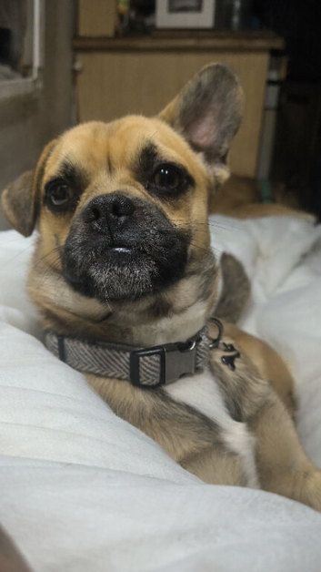 1 year old jug boy