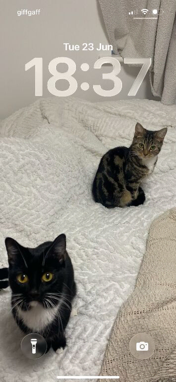 Minnie and Daisy