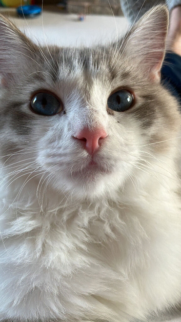 Loveable character