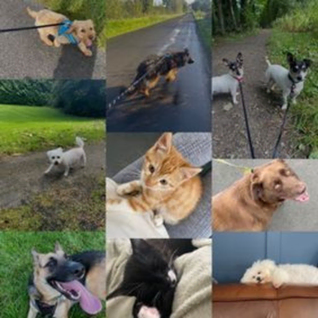 Pawsome Pet Care
