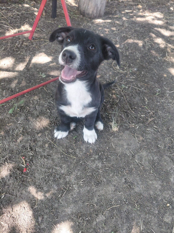 INNA &ndash; OUR BEAUTIFUL BLACK-AND-WHITE GIRL WITH A SMILE THAT LIGHTS UP THE WORLD!