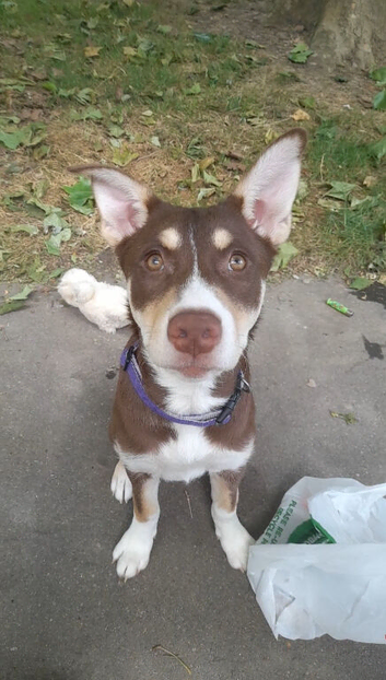 Beautiful Rare Girl Ready Now
