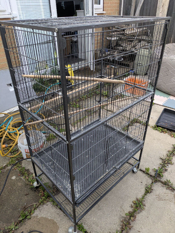 Large bird cage