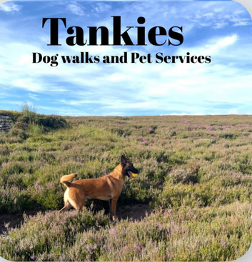 Tankies dog walks and pet services