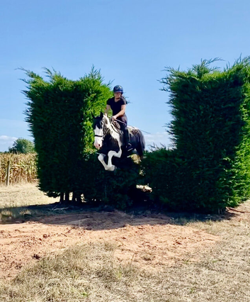 Super fun cob