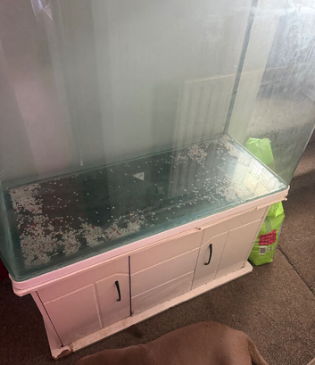 Fish tank and stand