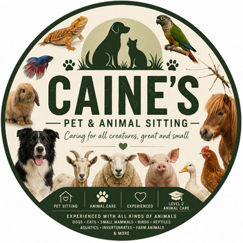 Caine pet sitting buissness