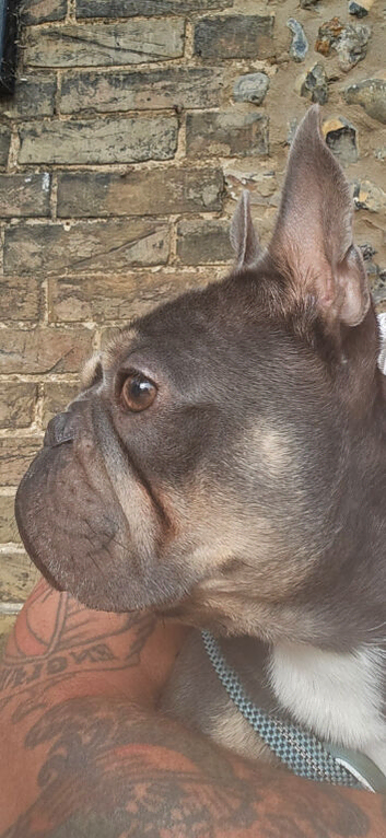 3 yr old boy