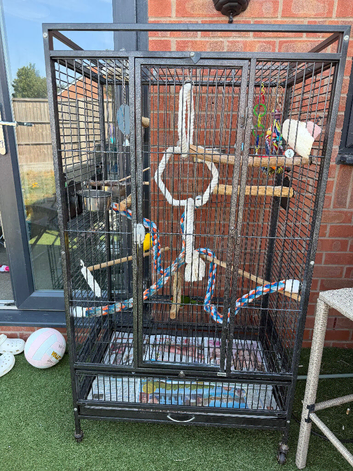 Male and female and cage