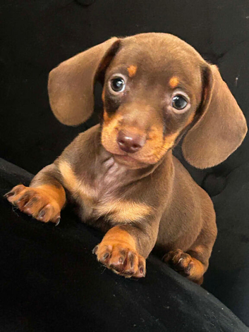 Winnie