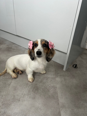 Absolutely beautiful little girl