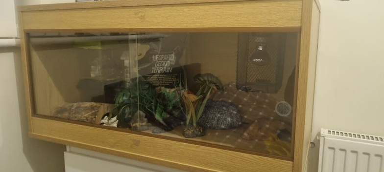 Gecko Tank
