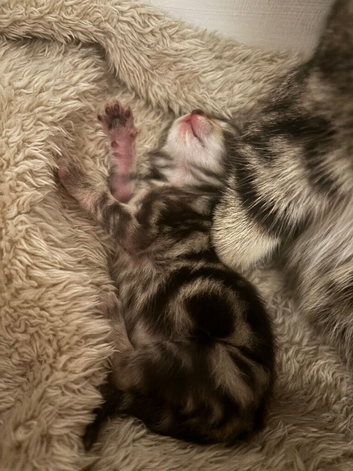 I have 2 girls left!