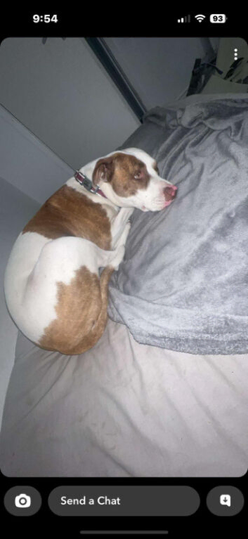 Tia