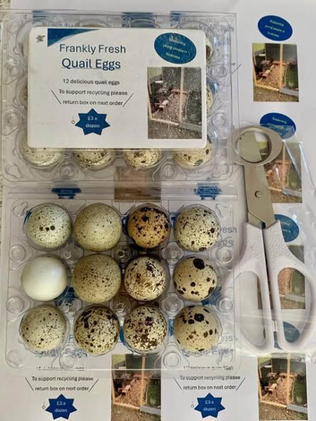 Gorgeous selection of quail eating eggs availiable!