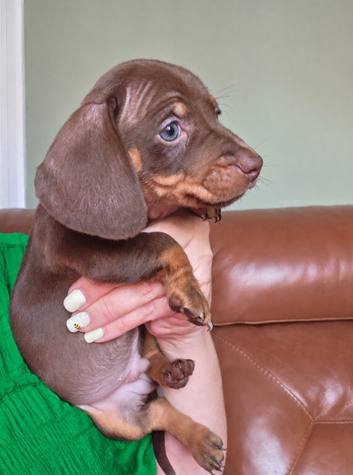 1 little boy ready now