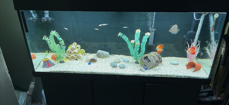 Juwel aquarium 240l fish tank grey cabinet