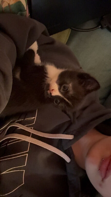 Baby girl for sale