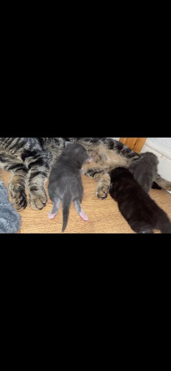 Beautiful baby&rsquo;s