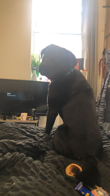 Max