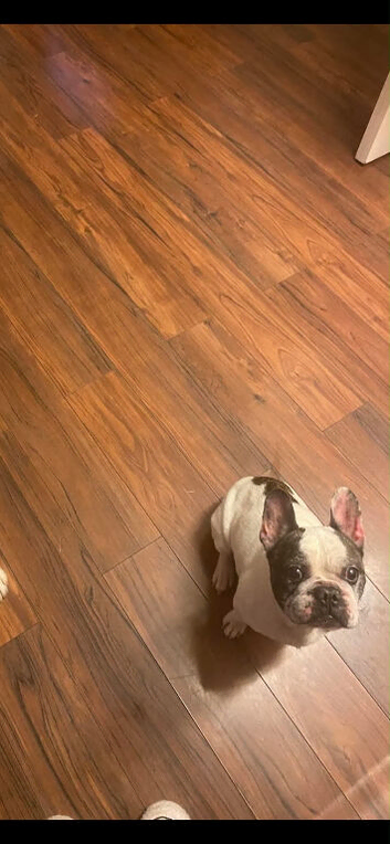Duggy