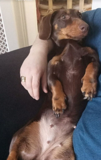 Maddie our 6yr old