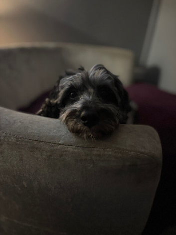 Mr Blu