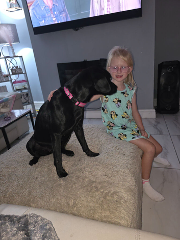 Patterdale/Lab