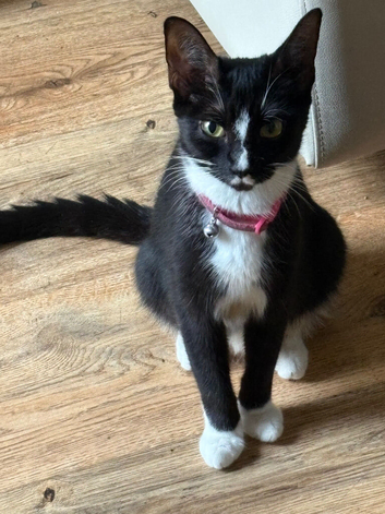 Beautiful 10 month olds
