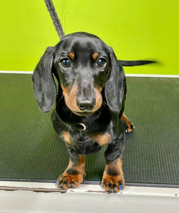 Handsome Boy