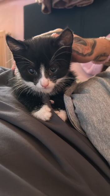 Little girl