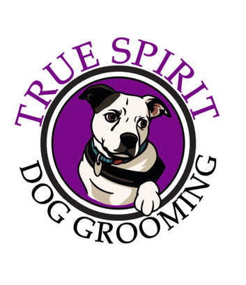Mobile dog grooming sevenoaks
