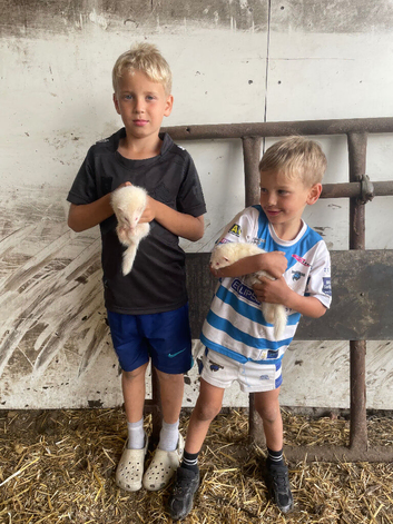 2 albino Jill&rsquo;s