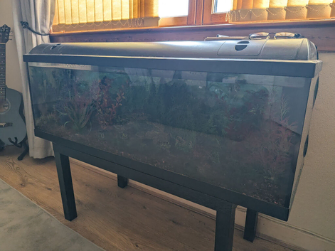 4ft Aqurium