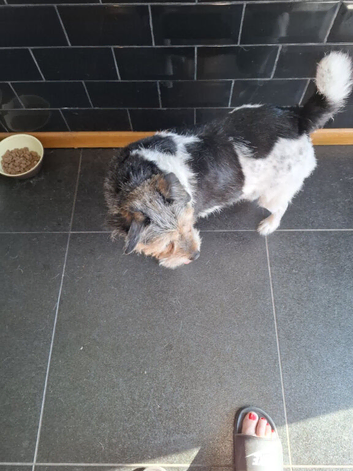 Millie