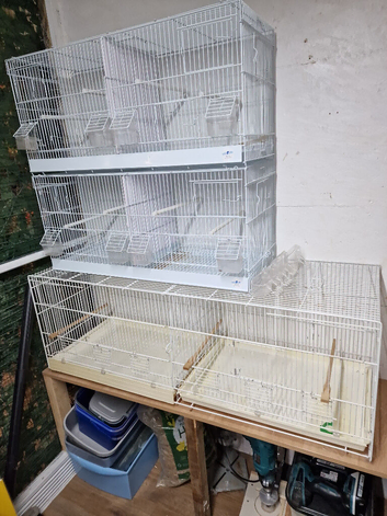 Bird cages