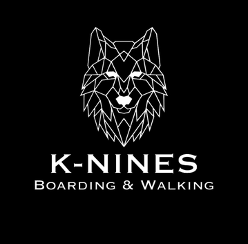 Dog walking and home boarding