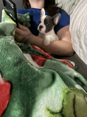 Last little boy waiting for his forever home