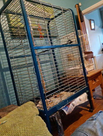 Indoor Parrot cage
