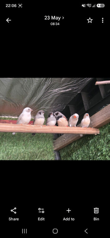 Family of 9