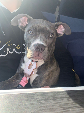 Narla