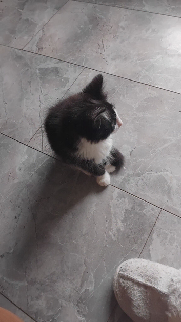 Lovely little boy
