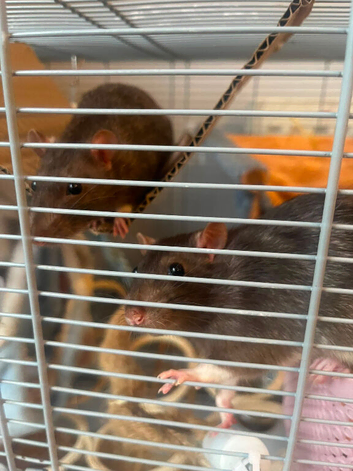 Marvin and John