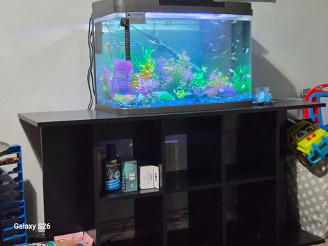 64l tank and stand read description