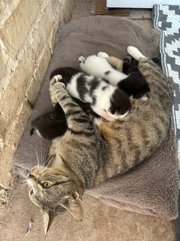 6 beautiful babies