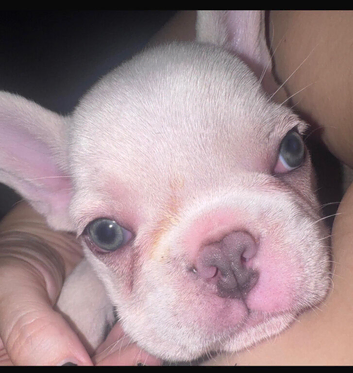 One beautiful girl left!!!