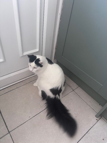 Oscar